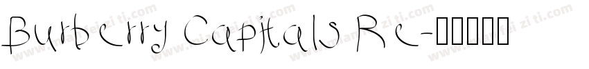 Burberry Capitals Re字体转换